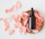 Top view of empty brown bottle for skin care product placed on wooden plate with fresh pink rose petals on white background isolated